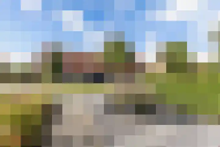 't Bosk 55 Wommels thumbnail 6