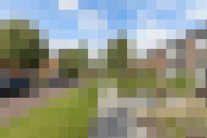 't Bosk 55 Wommels thumbnail 7