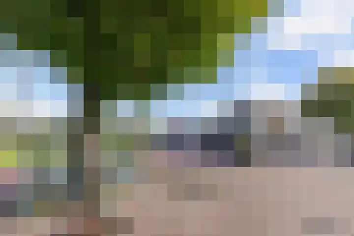 't Bosk 55 Wommels thumbnail 9