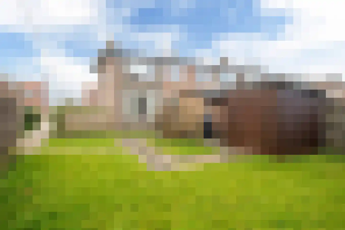 't Bosk 57 Wommels thumbnail 14