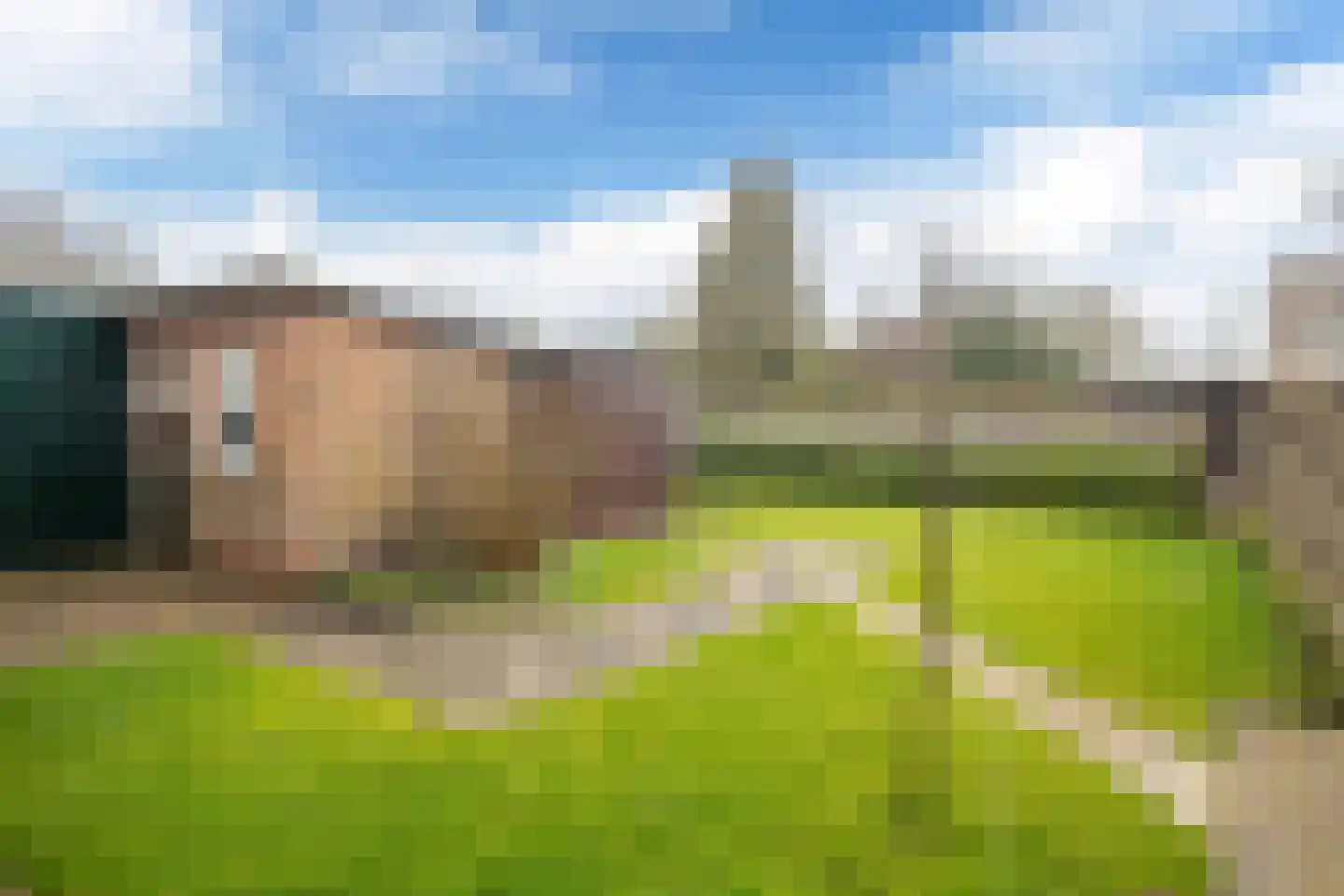 't Bosk 57 Wommels thumbnail 15