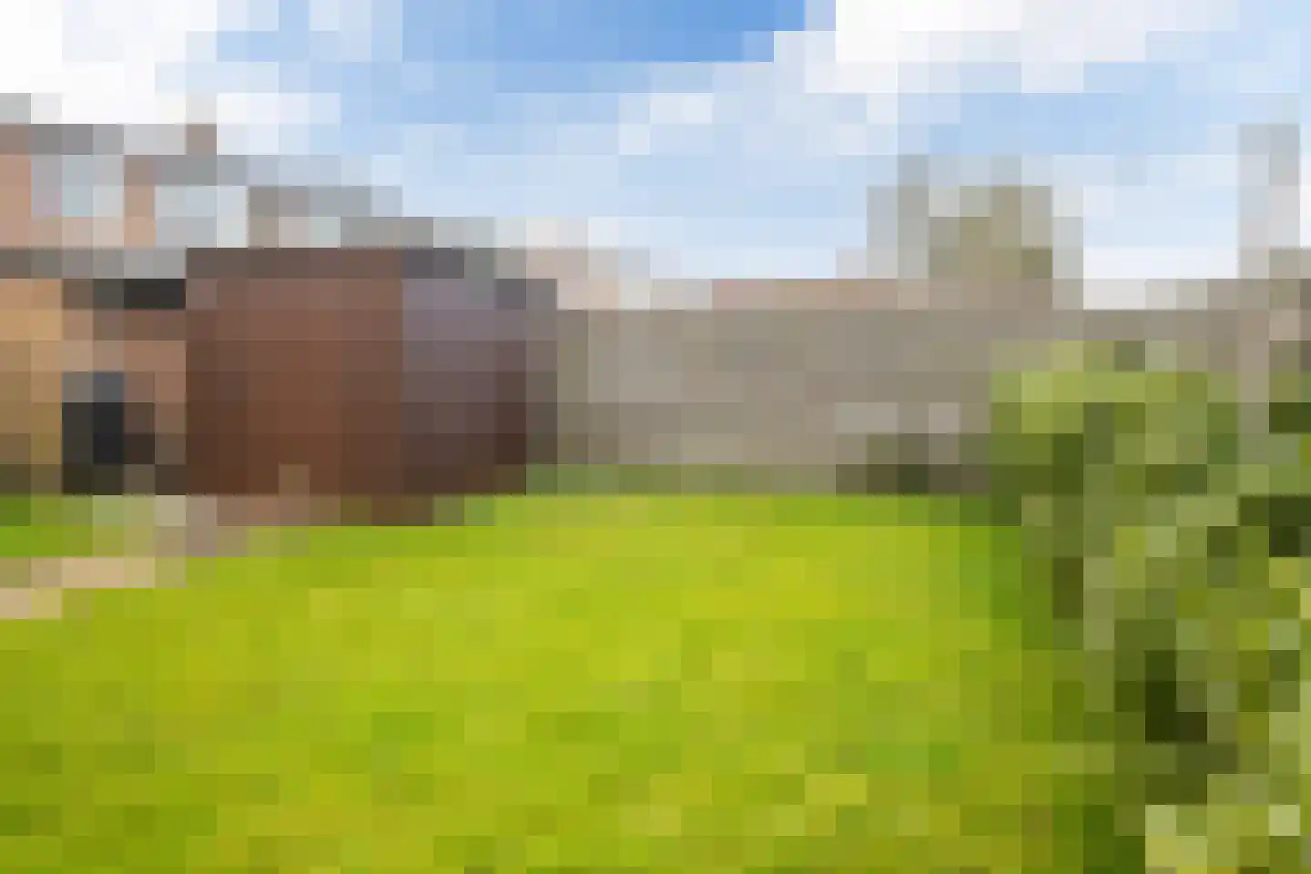 't Bosk 57 Wommels thumbnail 17
