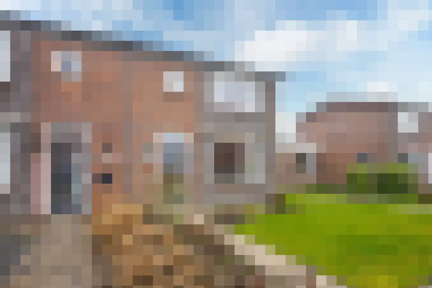 't Bosk 57 Wommels thumbnail 4