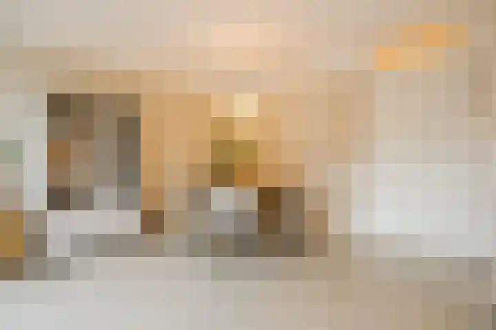 't Boveneindje 37 Made thumbnail 12