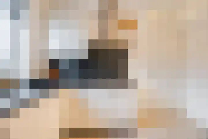 't Boveneindje 37 Made thumbnail 16