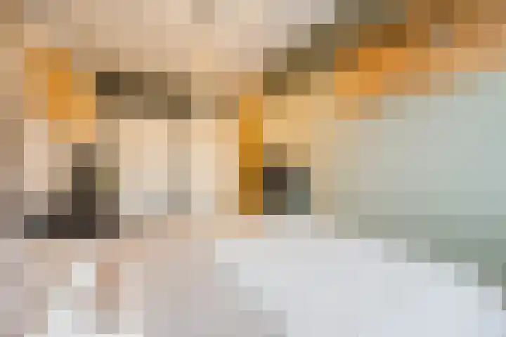 't Boveneindje 37 Made thumbnail 20