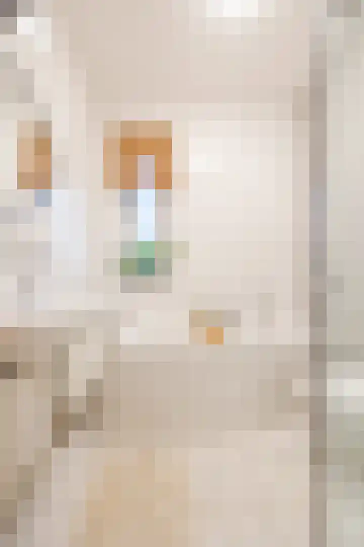 't Boveneindje 37 Made thumbnail 26
