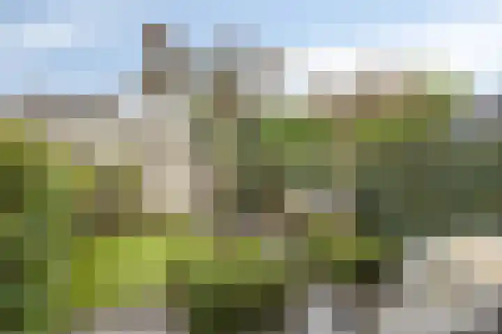 't Boveneindje 4 Made thumbnail 33