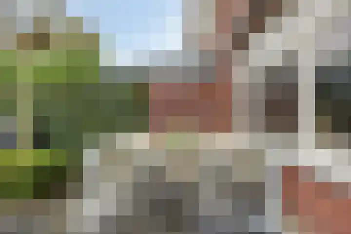 't Boveneindje 4 Made thumbnail 34
