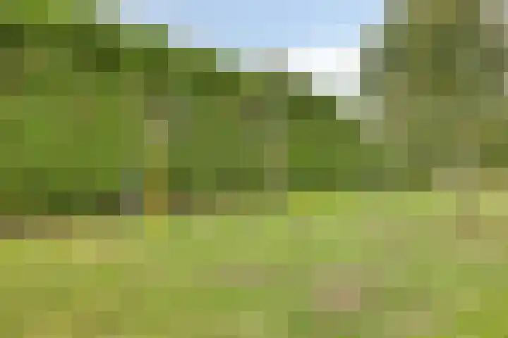 't Boveneindje 4 Made thumbnail 41