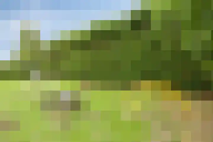 't Boveneindje 4 Made thumbnail 42
