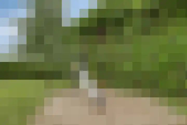 't Boveneindje 4 Made thumbnail 43