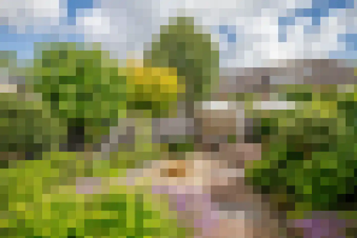 't Breede Weer 11 Leidschendam thumbnail 36