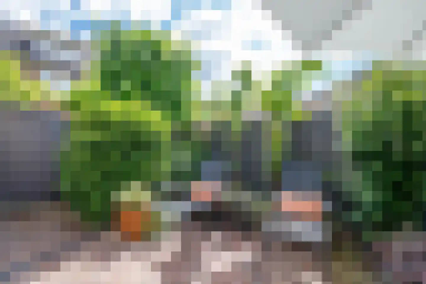 't Breede Weer 11 Leidschendam thumbnail 39