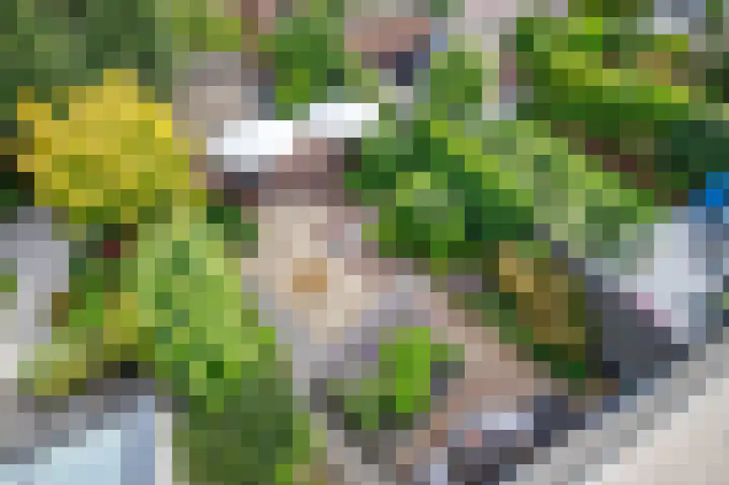 't Breede Weer 11 Leidschendam thumbnail 41