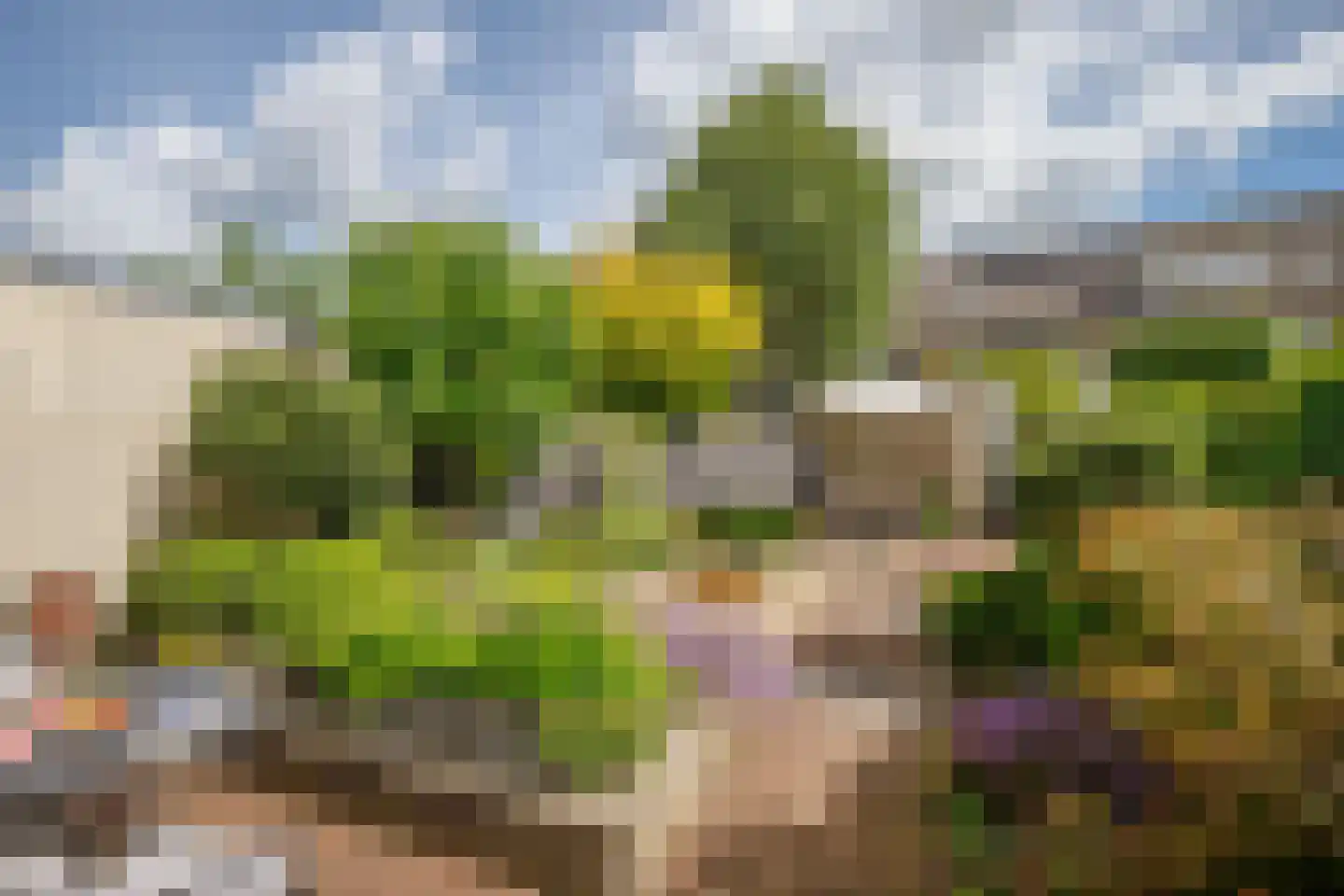 't Breede Weer 11 Leidschendam thumbnail 42