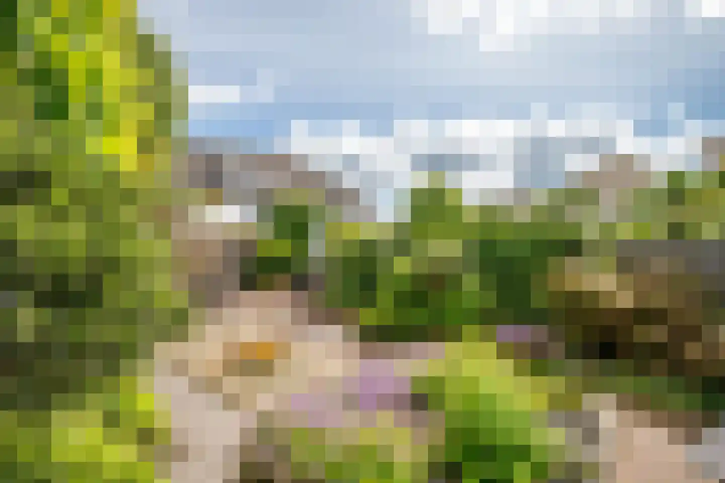 't Breede Weer 11 Leidschendam thumbnail 43