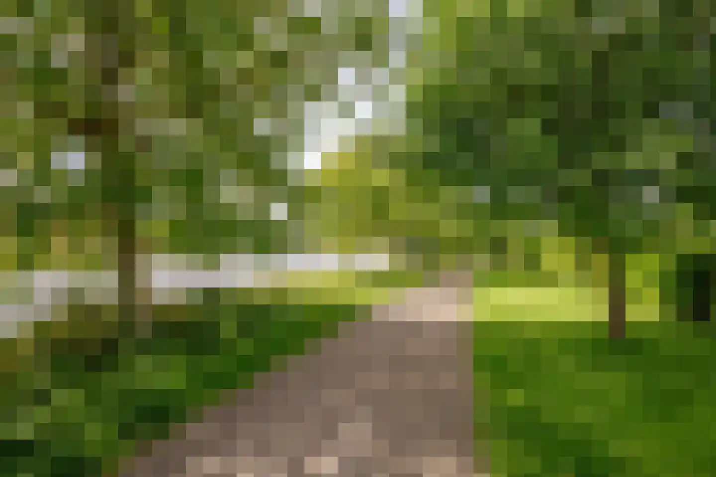 't Breede Weer 11 Leidschendam thumbnail 48
