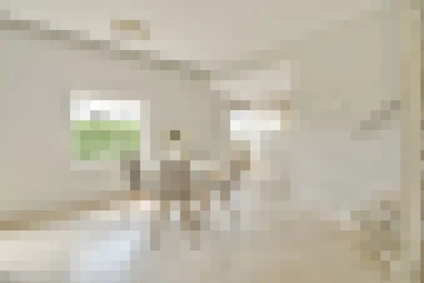 't BreukeleveenseMeentje 2 Loosdrecht thumbnail 11