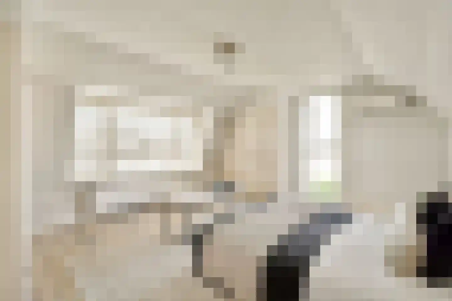 't BreukeleveenseMeentje 2 Loosdrecht thumbnail 14