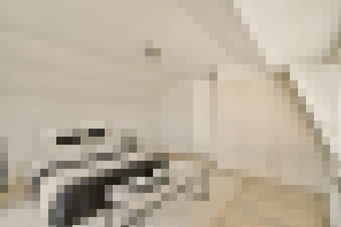 't BreukeleveenseMeentje 2 Loosdrecht thumbnail 15