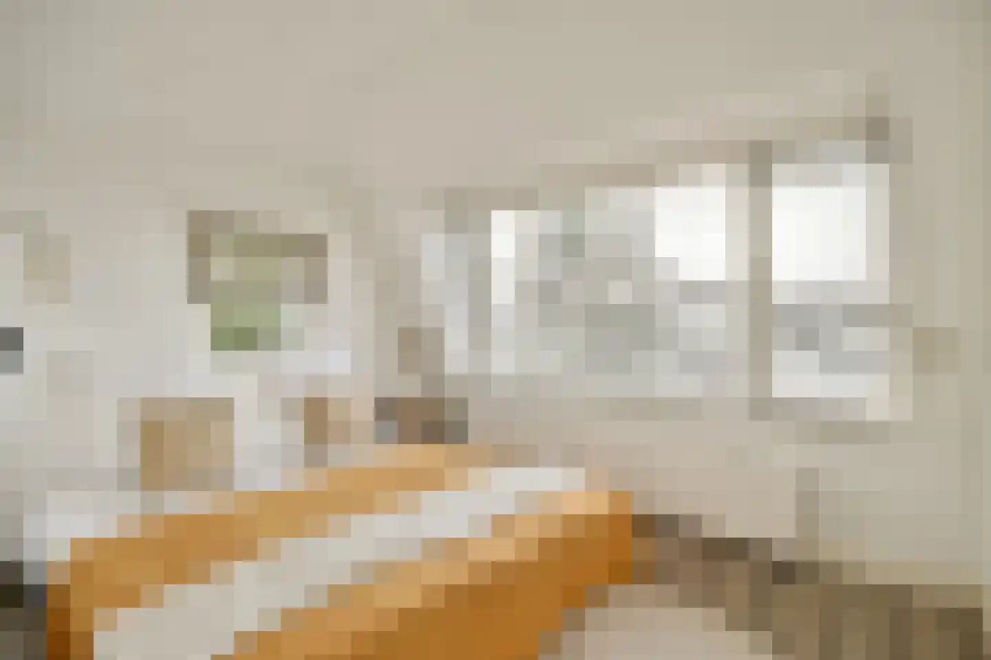 't BreukeleveenseMeentje 2 Loosdrecht thumbnail 18
