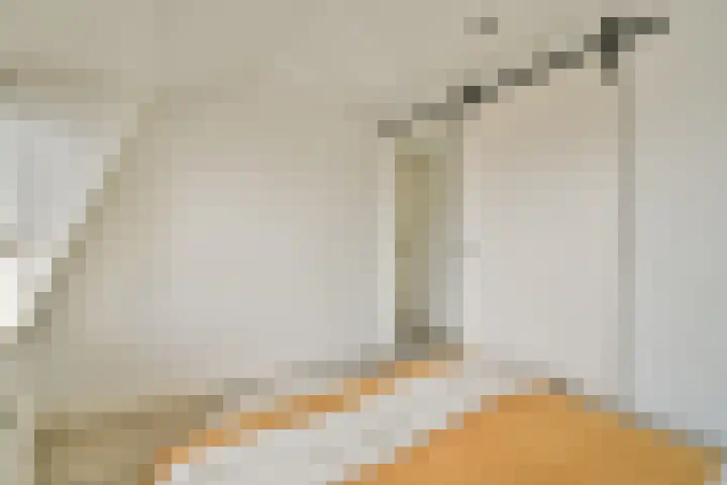 't BreukeleveenseMeentje 2 Loosdrecht thumbnail 19
