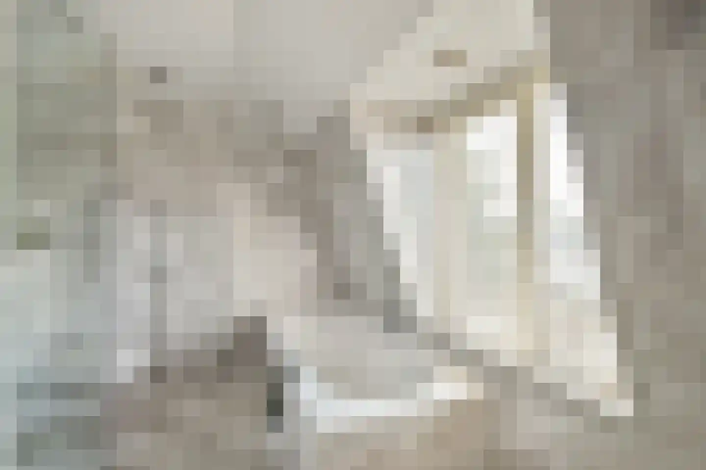 't BreukeleveenseMeentje 2 Loosdrecht thumbnail 21