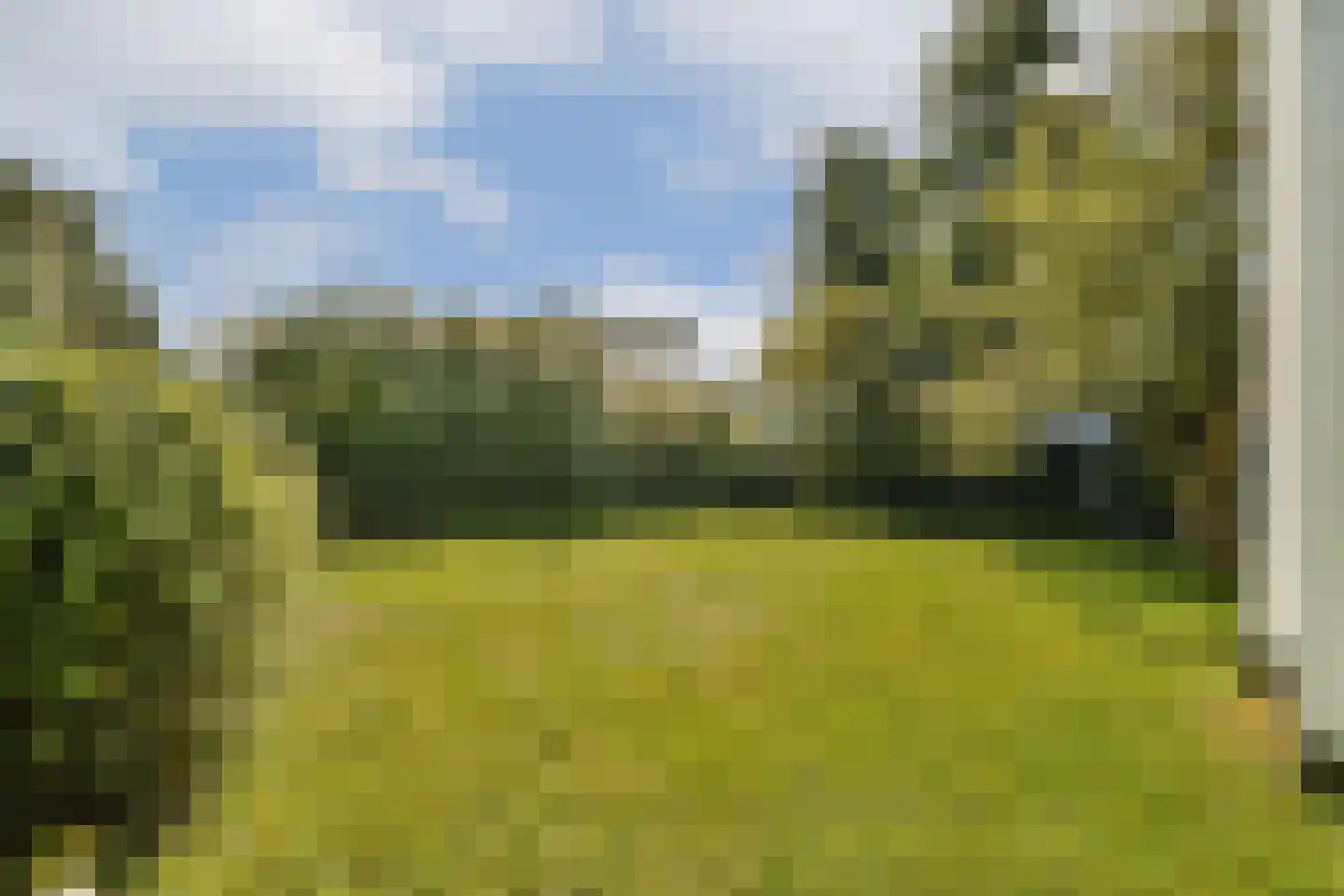 't BreukeleveenseMeentje 2 Loosdrecht thumbnail 25