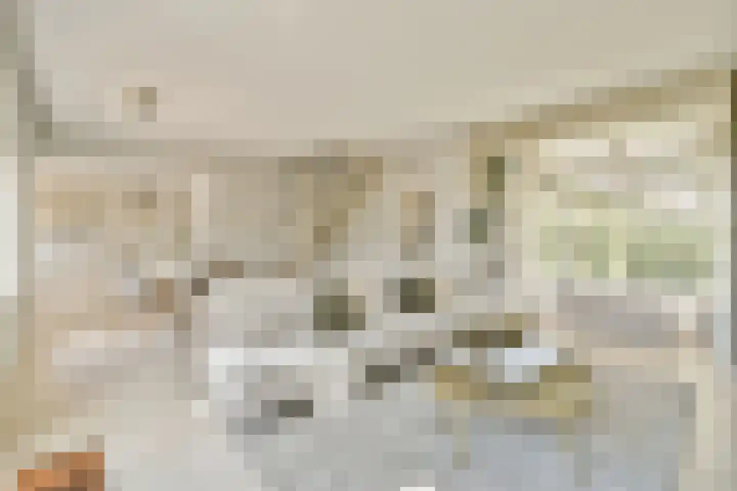 't BreukeleveenseMeentje 2 Loosdrecht thumbnail 5