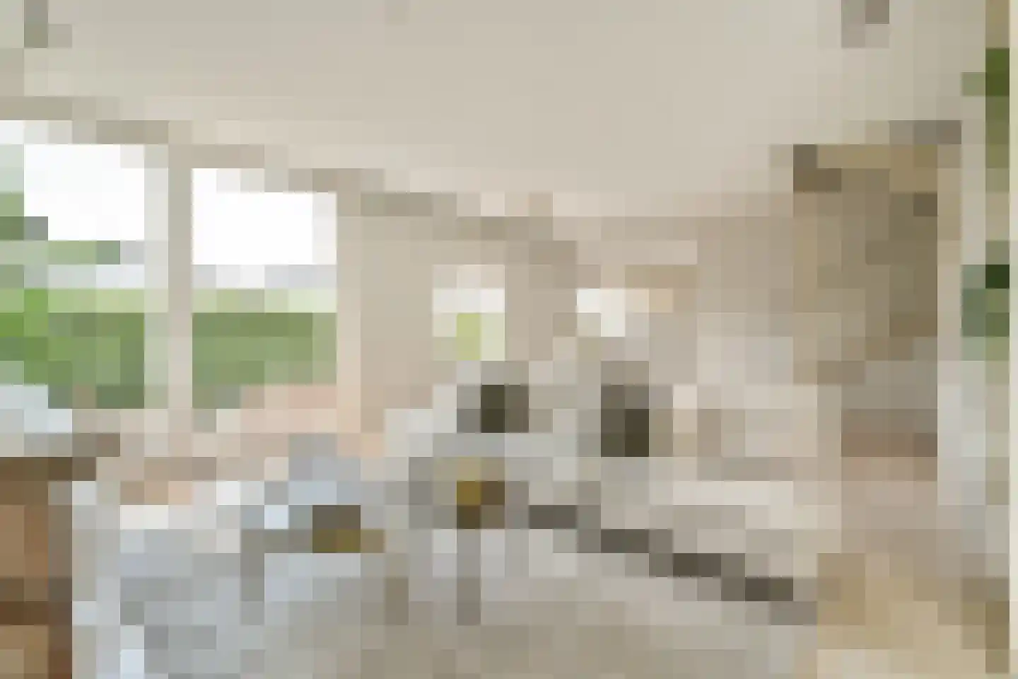 't BreukeleveenseMeentje 2 Loosdrecht thumbnail 7