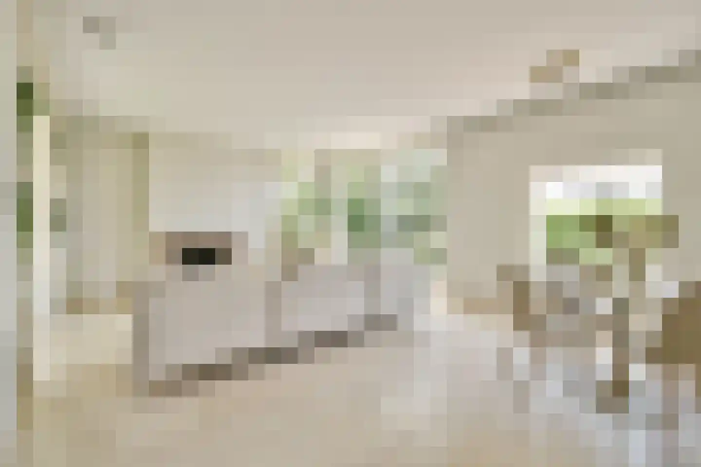 't BreukeleveenseMeentje 2 Loosdrecht thumbnail 8