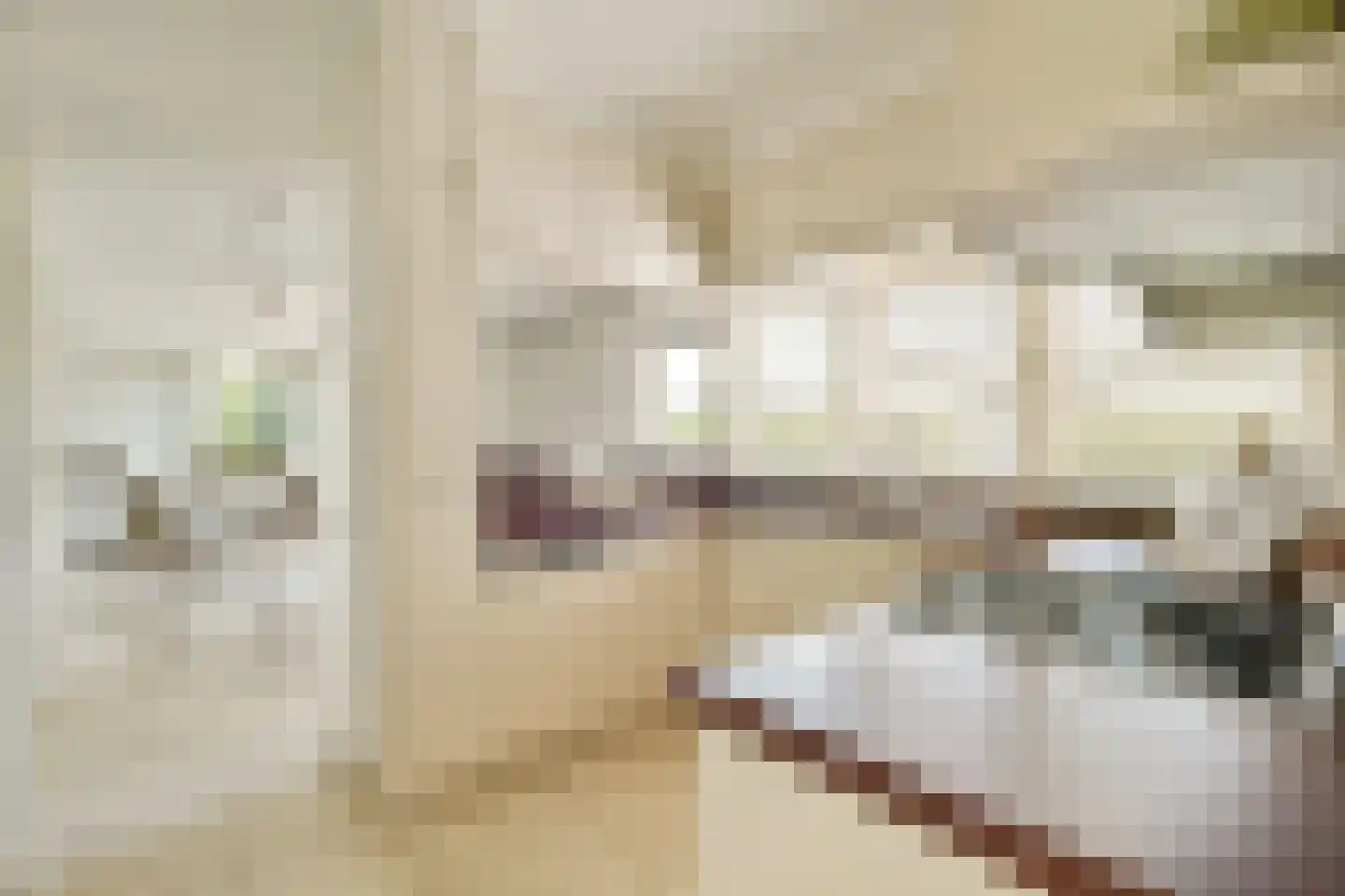 't BreukeleveenseMeentje 2 Loosdrecht thumbnail 9