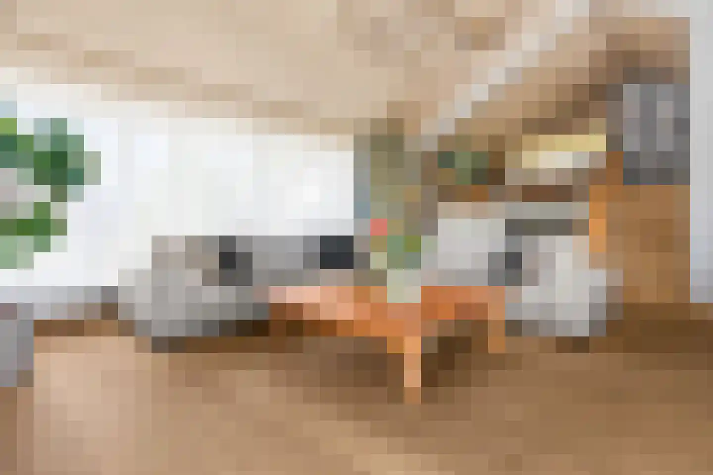't BreukeleveenseMeentje 9 b Loosdrecht thumbnail 18