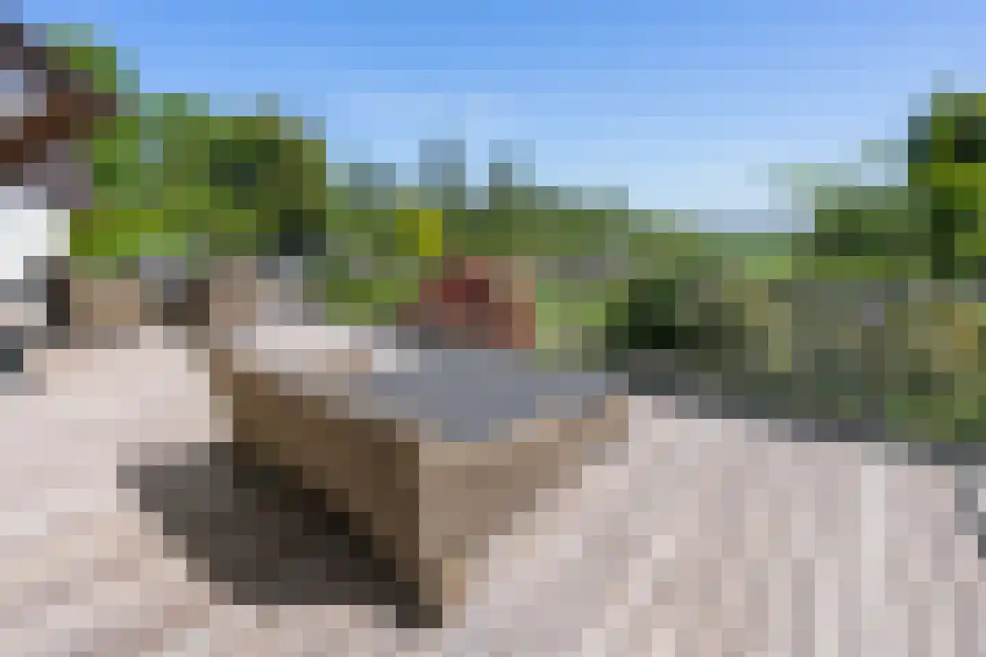 't BreukeleveenseMeentje 9 b Loosdrecht thumbnail 39