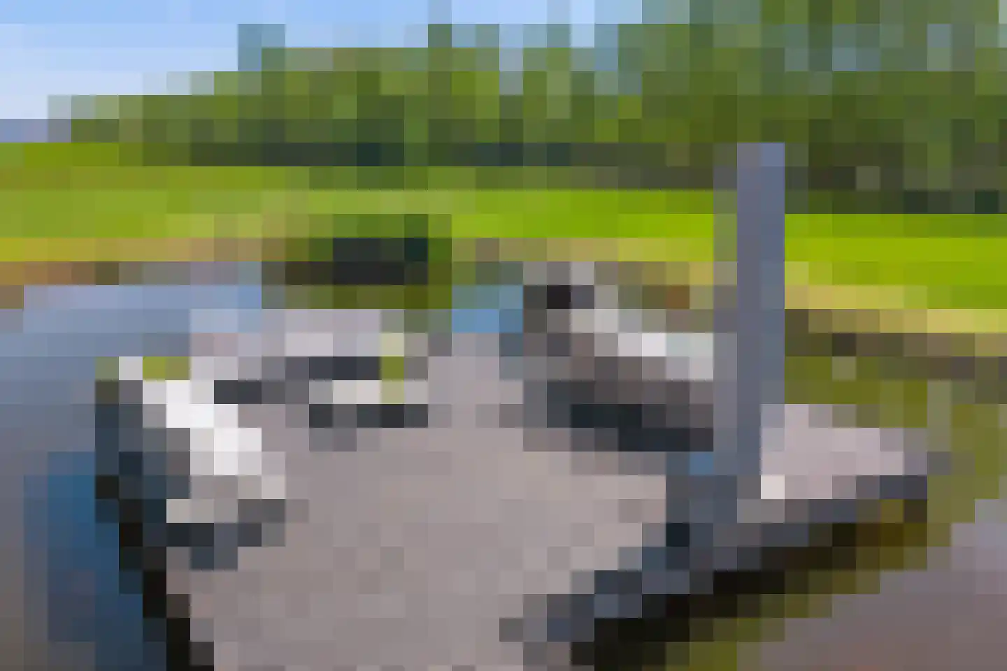 't BreukeleveenseMeentje 9 b Loosdrecht thumbnail 40