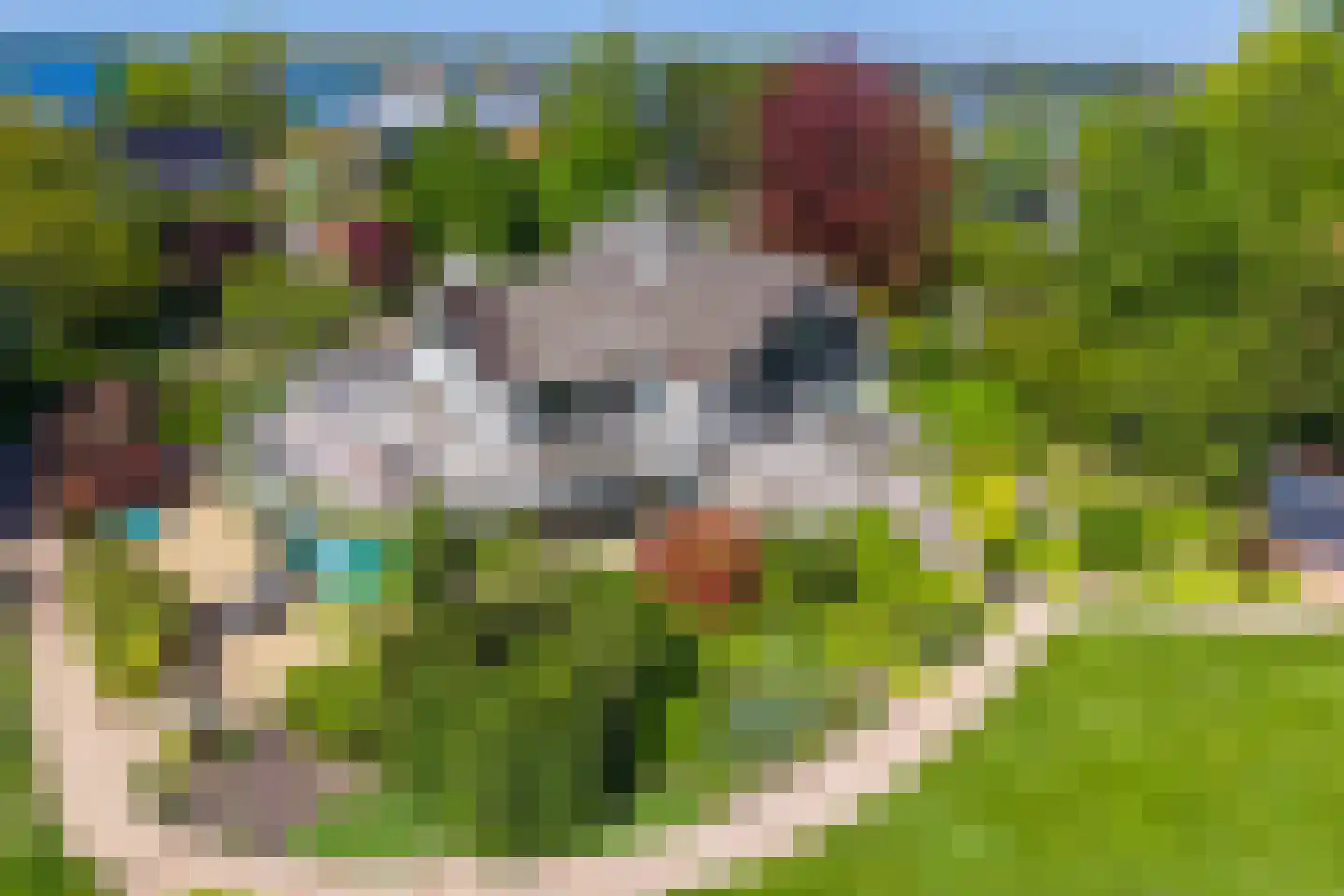 't BreukeleveenseMeentje 9 b Loosdrecht thumbnail 5