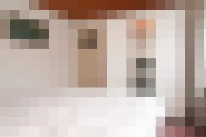 't Buske 15 Alem thumbnail 24