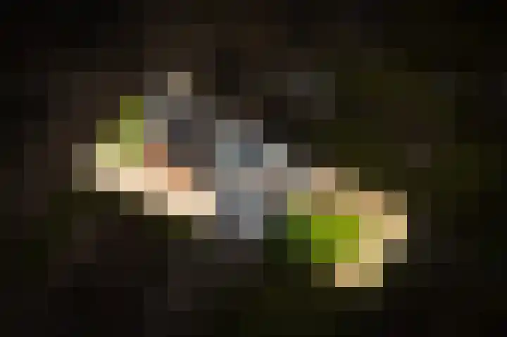 't Buske 15 Alem thumbnail 28