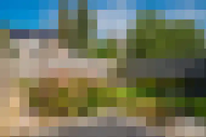 't Buske 15 Alem thumbnail 31