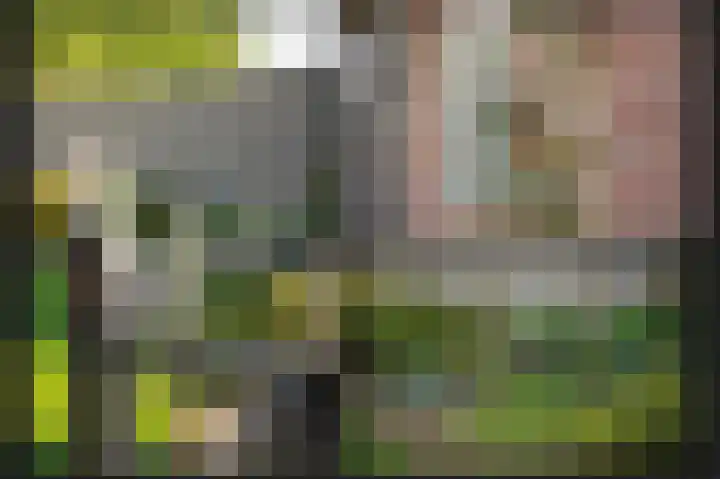 't Buske 15 Alem thumbnail 32