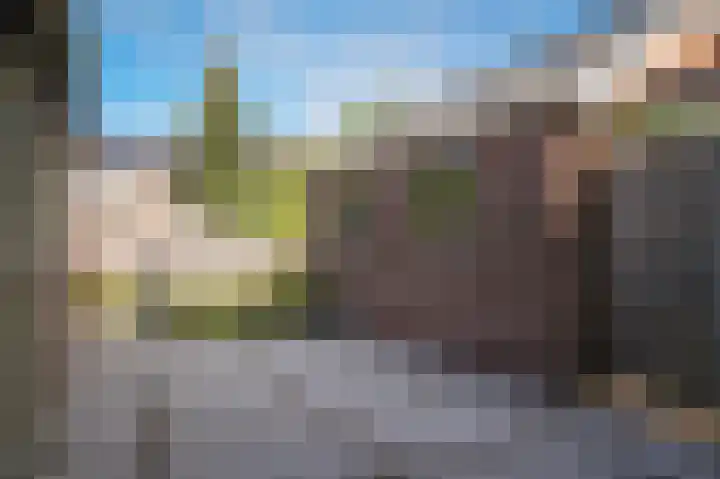 't Buske 15 Alem thumbnail 33