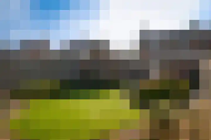 't Buske 15 Alem thumbnail 35