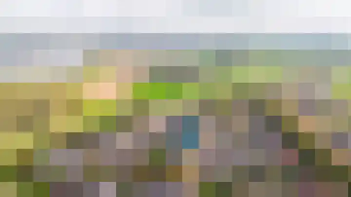 't Buske 15 Alem thumbnail 36
