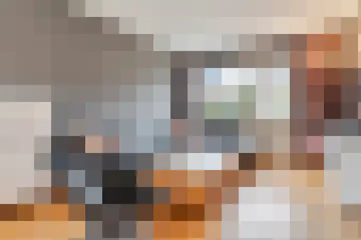 't Buske 22 Udenhout thumbnail 10