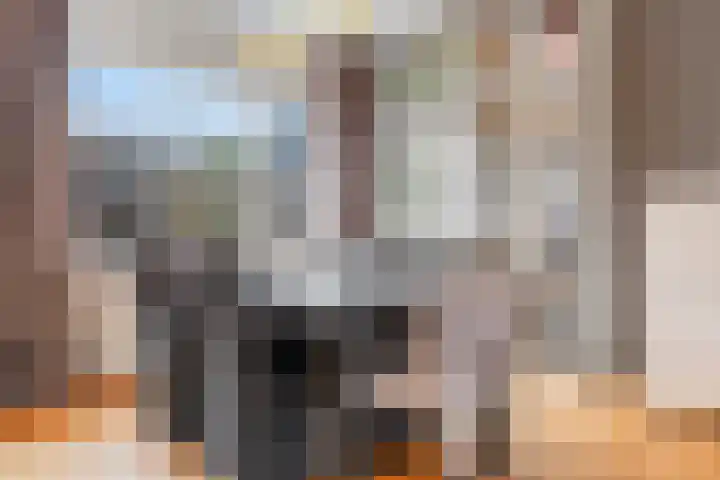 't Buske 22 Udenhout thumbnail 13