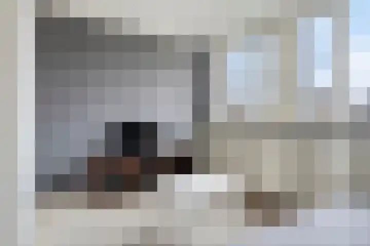 't Buske 22 Udenhout thumbnail 21
