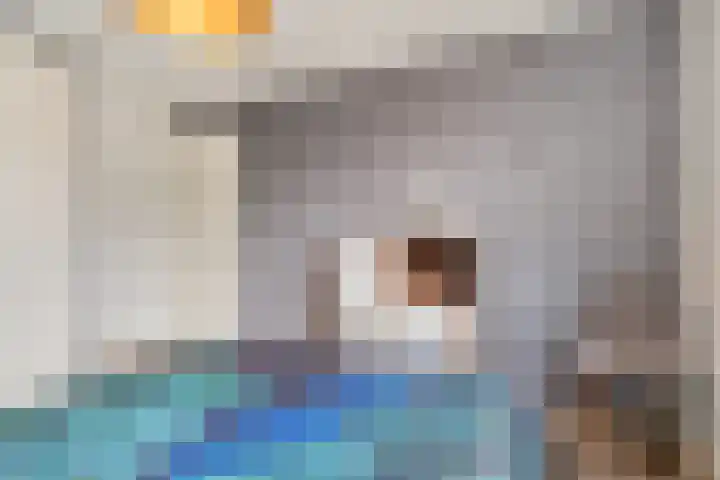 't Buske 22 Udenhout thumbnail 24
