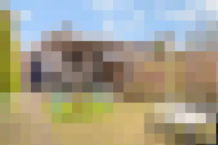 't Buske 22 Udenhout thumbnail 35
