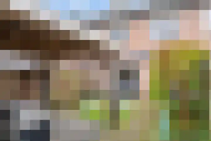 't Buske 22 Udenhout thumbnail 36
